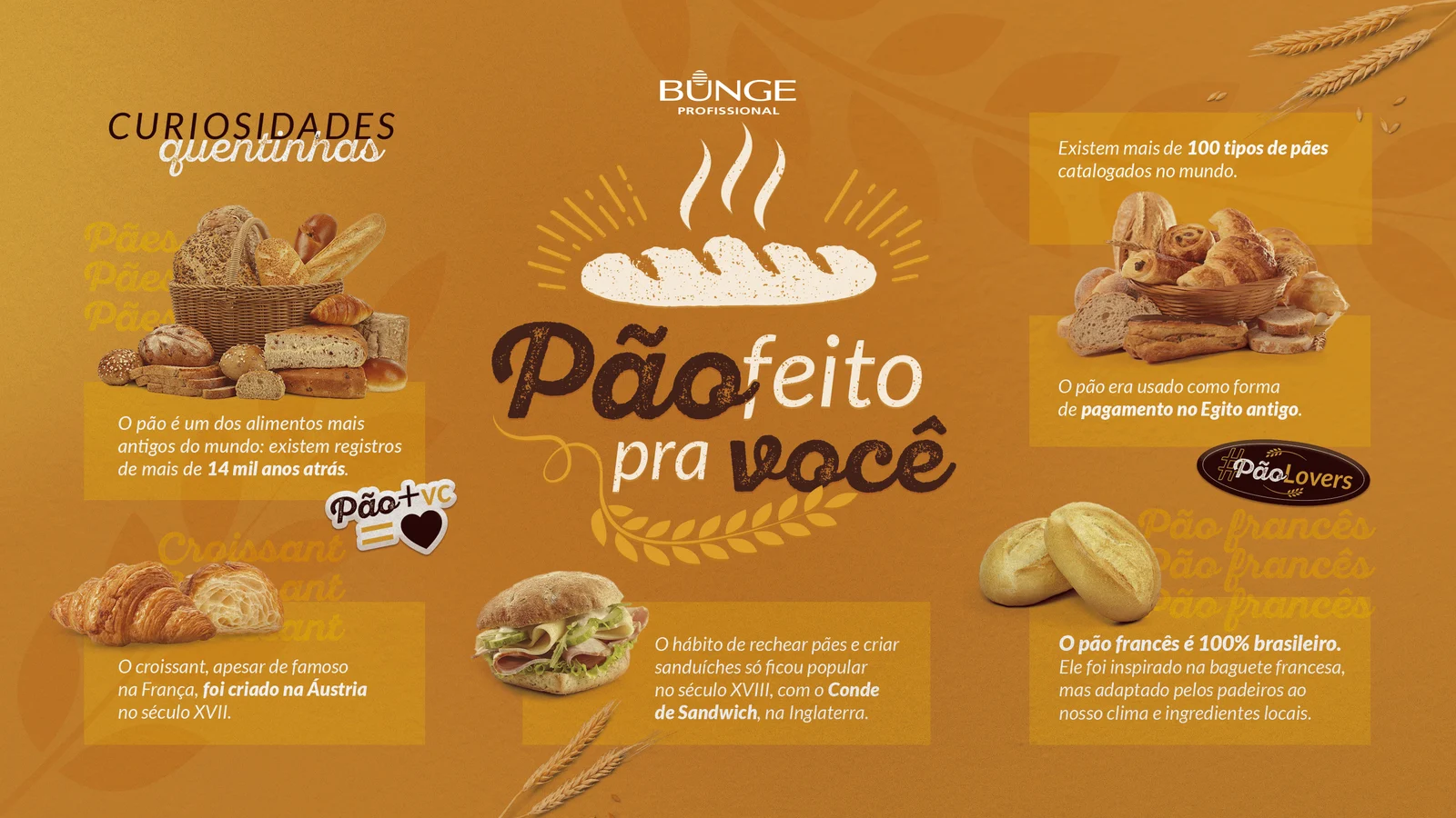 KV Pão feito pra você: curiosidades quentinhas sobre o pão, em fundo dourado