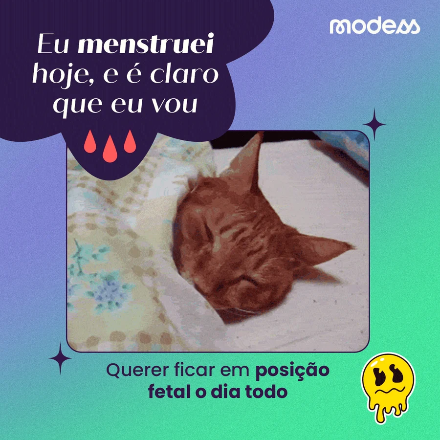 Post: eu menstruei hoje, e é claro que eu vou querer ficar em posição fetal o dia todo, com gato enrolado em um cobertor