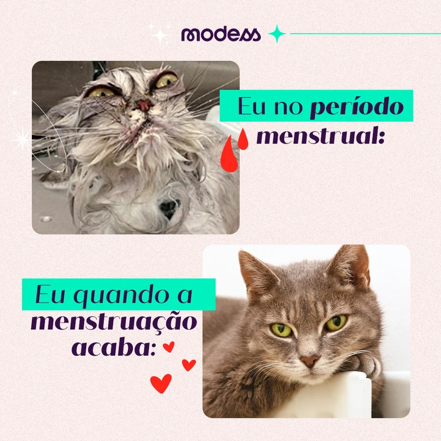 Post: eu no período menstrual e eu quando a menstruação acaba, dois gatos em contraste